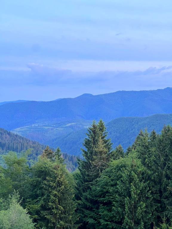 Вершини Близниці